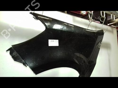 Left front fenders RENAULT CLIO III (BR0/1, CR0/1) 1.5 dCi (BR17, CR17) | BP19747943C41 
