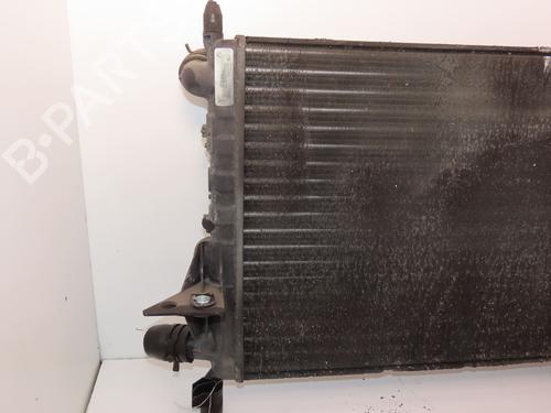Used Water radiator RENAULT TWINGO I (C06_) 1.2 LPG (60 hp) 23194616