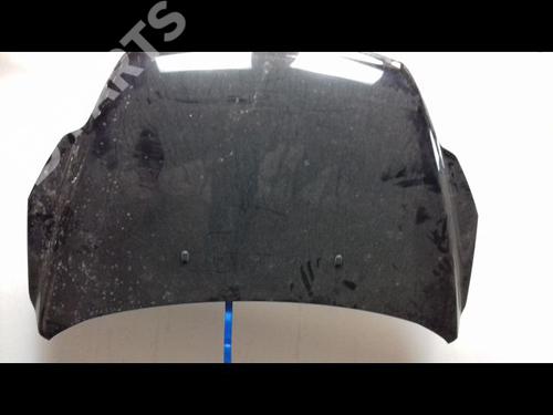 Hood FORD FOCUS II (DA_, HCP, DP) 1.6 TDCi | BP9216316C1 