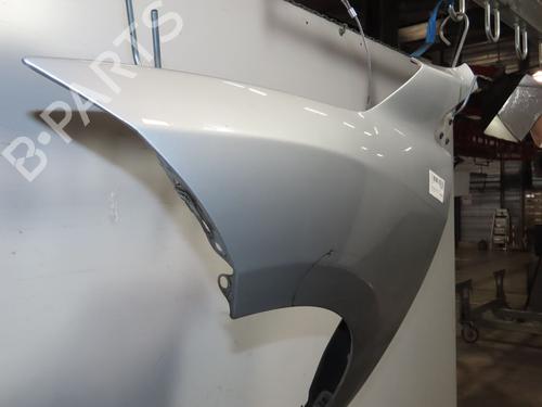 Left front fenders RENAULT MEGANE III Hatchback (BZ0/1_, B3_) 1.5 dCi (BZ0C) | BP19479787C41 