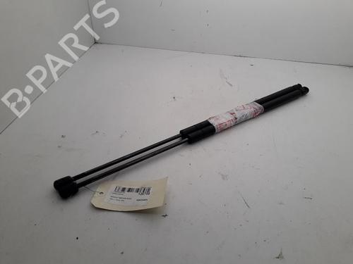 Used Tailgate lift support Tailgate lift support RENAULT SCÉNIC I MPV (JA0/1_, FA0_) 1.6 (JA00, JA16, JA15, JA19, JA1V, JA2B, JA2C, JA0B,... (107 hp) 16931223 16931223