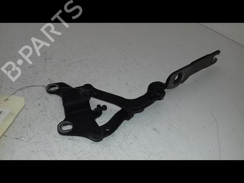 Hinge/Door check strap BMW 3 (E90) 335 d | BP29224791C146 