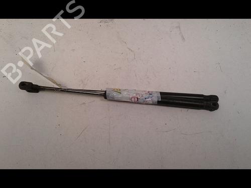 Tailgate lift support SKODA ROOMSTER (5J7) 1.9 TDI | BP29225972C138 