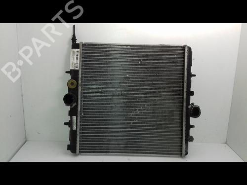 Used Water radiator PEUGEOT 206+ (2L_, 2M_) 1.4 i (2LKFWA, 2MKFWA) (75 hp) 19441005