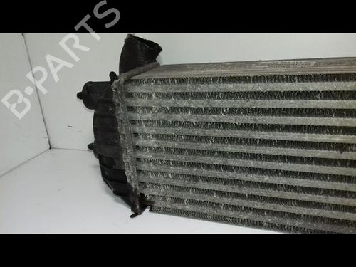 Intercooler CITROËN DS5 2.0 HDi 165 | BP16203386M30 - Image 6