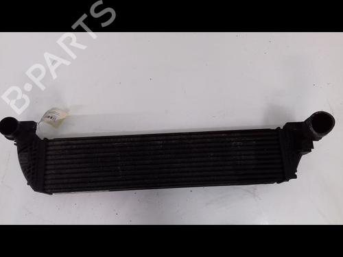 Used Other RENAULT LAGUNA II (BG0/1_) 1.9 dCi (BG1A, BG1W, BG0G) (110 hp) 14886751
