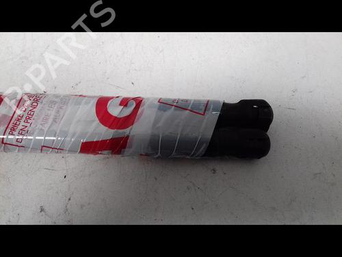 Used Tailgate lift support RENAULT GRAND SCÉNIC II (JM0/1_) 1.9 dCi (JM14) (131 hp) 14888110