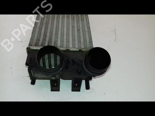 Intercooler CITROËN C4 II (NC_) 1.6 HDi 110 | BP19080008M30 - Image 3