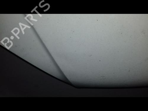 Used Hood FIAT DOBLO Box Body/MPV (223_) 1.3 D Multijet (75 hp) 23195279