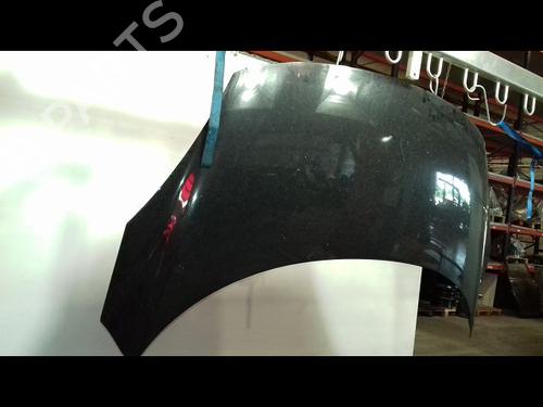 Hood RENAULT SCÉNIC III (JZ0/1_) 1.9 dCi (JZ0J, JZ1J, JZ1K, JZ1S) | BP18887493C1