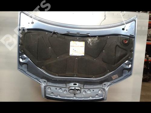 Motorhjelm FIAT PUNTO (188_) 1.3 JTD 16V (70 hp) 8972410
