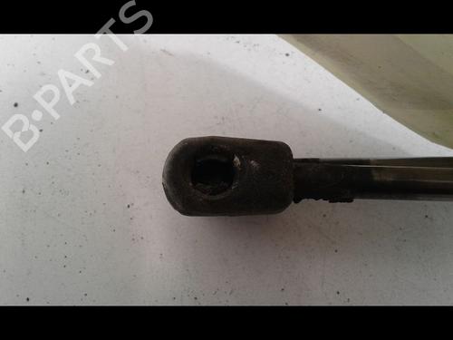 Used Tailgate lift support SKODA ROOMSTER (5J7) 1.9 TDI (105 hp) 29225972