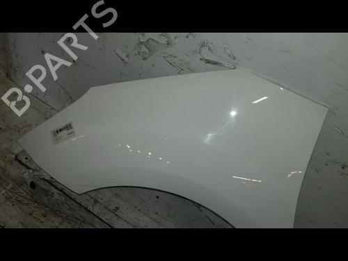 Left front fenders CITROËN C3 II (SC_) 1.4 HDi 70 (SC8HZC, SC8HR0, SC8HP4) | BP29224611C41 