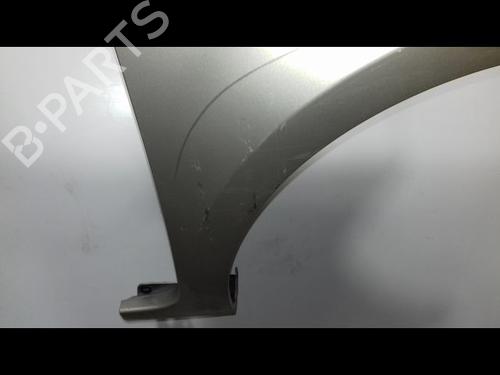 Right front fenders RENAULT CLIO III (BR0/1, CR0/1) 1.5 dCi (BR1C, CR1C) | BP12528994C42 