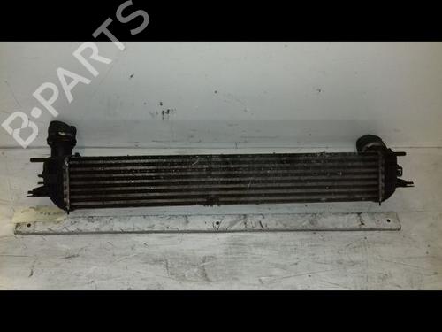 Other RENAULT LAGUNA III (BT0/1) 1.5 dCi (BT00, BT0A, BT0T, BT1J) | BP16859813O1 