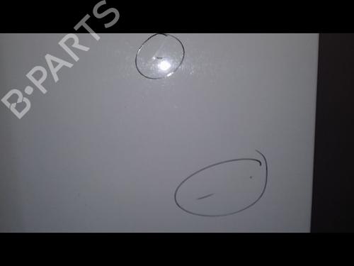 Right tailgate RENAULT KANGOO Express (FW0/1_) 1.5 dCi 85 (FW0K, FW0L, FW0B) | BP16688518C77 