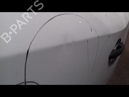 Left front door RENAULT KANGOO Express (FW0/1_) 1.5 dCi 70 (FW0A, KW0V) | BP29225063C2 