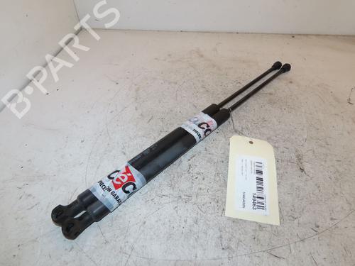 Used Tailgate lift support Tailgate lift support PEUGEOT 207 (WA_, WC_) 1.6 HDi (90 hp) 32715170 32715170