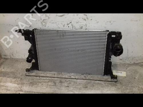Used Water radiator MERCEDES-BENZ A-CLASS (W177) A 200 (177.087) (163 hp) 31347601