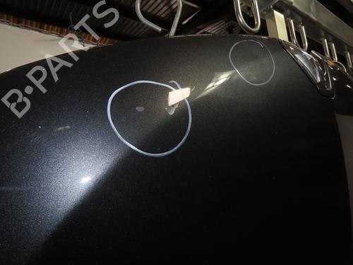 Hood RENAULT MEGANE III Hatchback (BZ0/1_, B3_) 1.5 dCi (BZ09, BZ0D, BZ1W, BZ29, BZ14) | BP17469683C1 