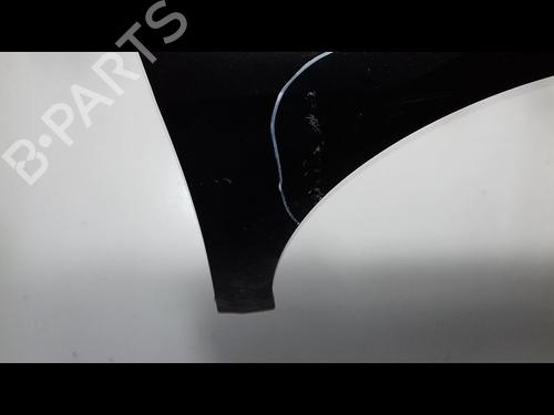 Right front fenders RENAULT LAGUNA III (BT0/1) 2.0 dCi (BT01, BT08, BT09, BT0E, BT0K, BT12, BT1C, BT1D,... | BP12235003C42 