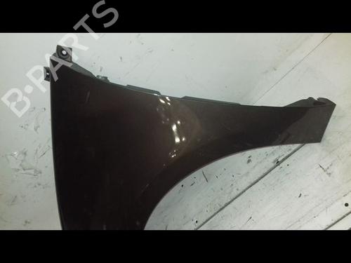 Used Left front fenders RENAULT SCÉNIC III (JZ0/1_) 1.9 dCi (JZ0J, JZ1J, JZ1K, JZ1S) (131 hp) 29224579