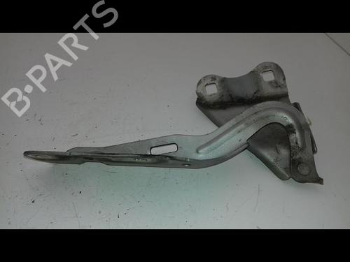 Used Hinge/Door check strap RENAULT TWINGO II (CN0_) 1.5 dCi 75 (75 hp) 19441095
