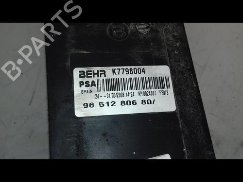 Used Other PEUGEOT 207 CC (WD_) 1.6 16V Turbo (150 hp) 16556110