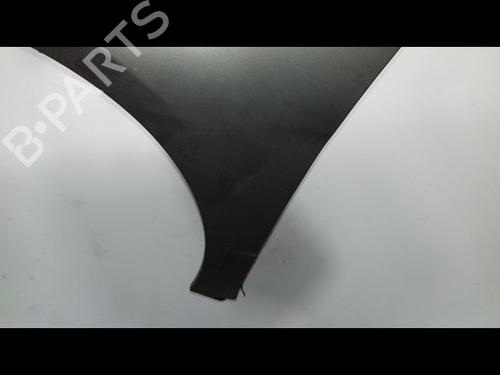 Left front fenders MERCEDES-BENZ A-CLASS (W169) A 180 CDI (169.007, 169.307) | BP14954669C41 