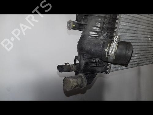 Køler RENAULT SCÉNIC III (JZ0/1_) 1.5 dCi | BP12354967M31 