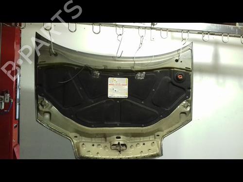 Hood FIAT PUNTO (188_) 1.3 JTD 16V | BP19319726C1 