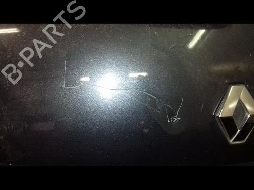 Used Tailgate Tailgate RENAULT SCÉNIC II (JM0/1_) 1.9 dCi (125 hp) 8964002 8964002