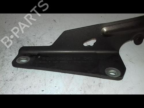 Hinge/Door check strap RENAULT KANGOO Express (FW0/1_) 1.5 dCi 75 (FW07, FW10, FW04) | BP21946803C146 