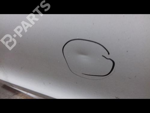 Right front door RENAULT CLIO III (BR0/1, CR0/1) 1.5 dCi (C/BR0G, C/BR1G) | BP10063658C3 