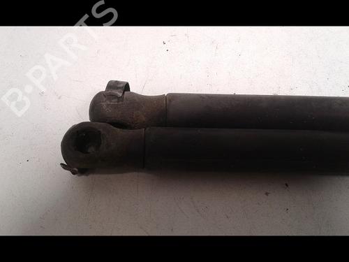 Tailgate lift support FORD C-MAX (DM2) 1.6 TDCi | BP14888060C138