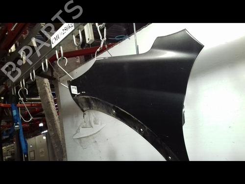 Left front fenders PEUGEOT 207 SW (WK_) 1.6 HDi | BP22341727C41 