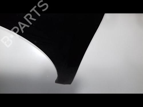 Left front fenders RENAULT LAGUNA III (BT0/1) 2.0 dCi (BT01, BT08, BT09, BT0E, BT0K, BT12, BT1C, BT1D,... | BP12235005C41 