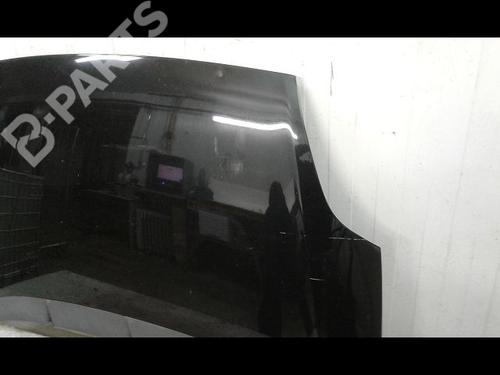 Hood FIAT GRANDE PUNTO (199_) 1.4 (199AXB11, 199AXB1A, 199BXB1A, 199AXL1A) | BP8965138C1