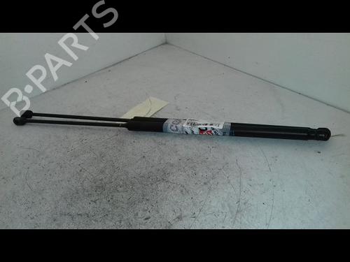 tailgate-lift-support-citroen-c4-picasso-i-mpv-ud_-2006-2007-2008-2009-2010-2011-2012-2013-2014-2015-34710581 main image
