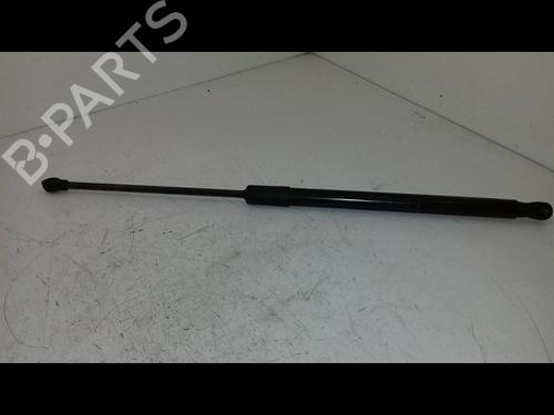 Used Tailgate lift support RENAULT CLIO V (B7_) 1.0 SCe 65 (B7MG) (67 hp) 29216797