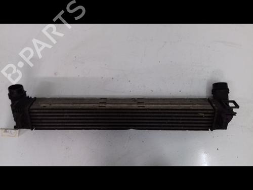 Andere RENAULT SCÉNIC III (JZ0/1_) 1.5 dCi | BP14886752O1 