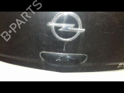 Used Tailgate Tailgate OPEL CORSA D (S07) 1.2 (L08, L68) (80 hp) 21088316 21088316