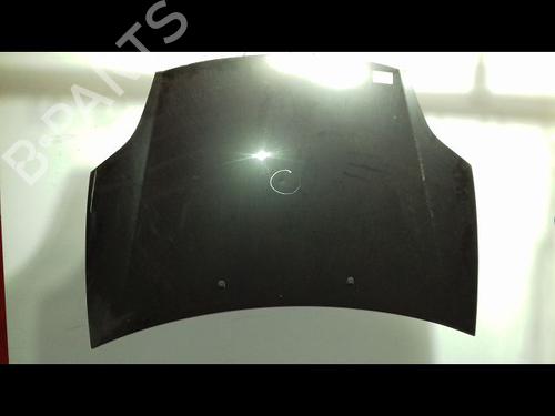 Hood FIAT BRAVO II (198_) 1.9 D Multijet (198AXB1A) | BP15138438C1 