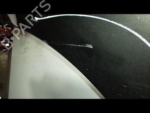Left front fenders RENAULT MEGANE III Hatchback (BZ0/1_, B3_) 1.5 dCi (BZ0C) | BP15799187C41 