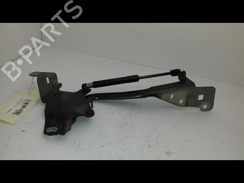 Used Hinge/Door check strap RENAULT SCÉNIC III (JZ0/1_) 1.9 dCi (JZ0J, JZ1J, JZ1K, JZ1S) (131 hp) 19441093