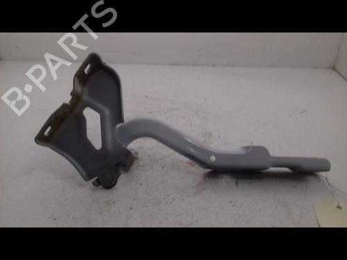 Used Hinge/Door check strap DACIA SANDERO III 1.0 SCe 65 (67 hp) 22693418