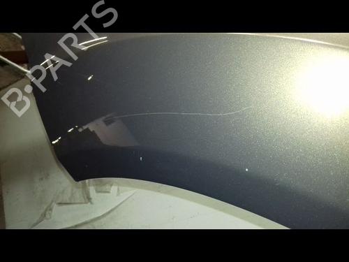 Left front fenders FORD C-MAX II (DXA/CB7, DXA/CEU) 1.6 TDCi | BP21672327C41 