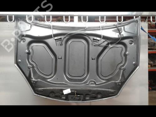 Used Hood DACIA SANDERO 1.4 MPI LPG (72 hp) 8967820