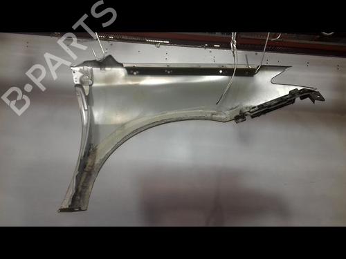 Left front fenders RENAULT LAGUNA III (BT0/1) 1.5 dCi (BT00, BT0A, BT0T, BT1J) | BP29224582C41 