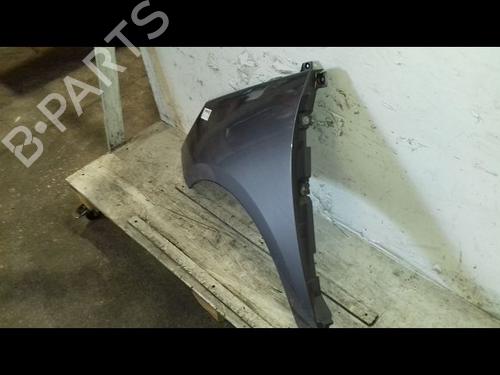Left front fenders RENAULT SCÉNIC III (JZ0/1_) 1.5 dCi | BP30047878C41